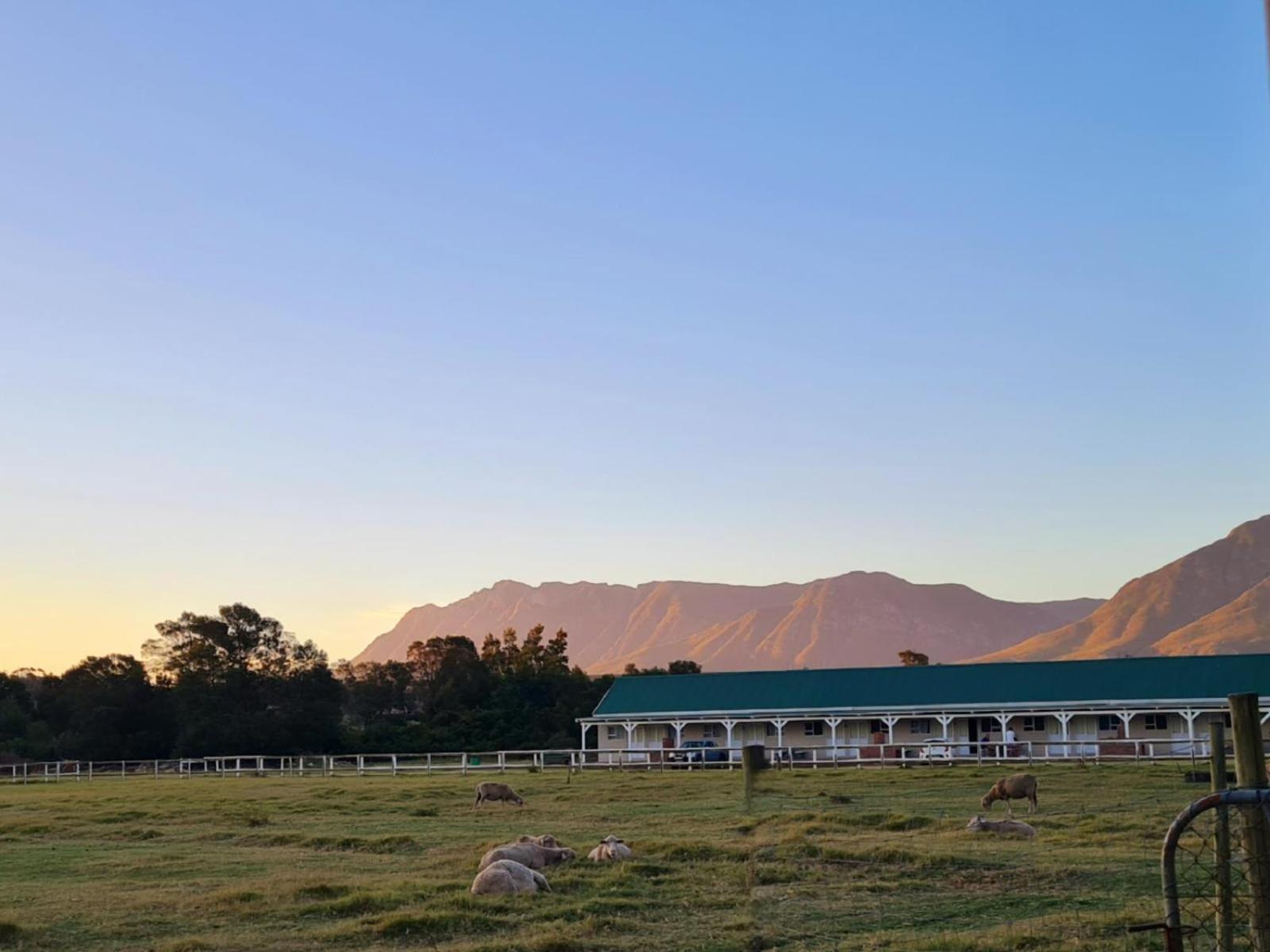 Blue Mountain Farm Lodge, Cabins & Cottages Swellendam Exterior photo